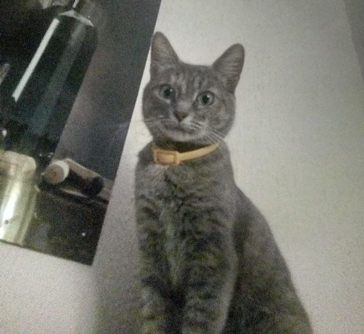 e5aeb75a6aa4a573c7a72caaaa