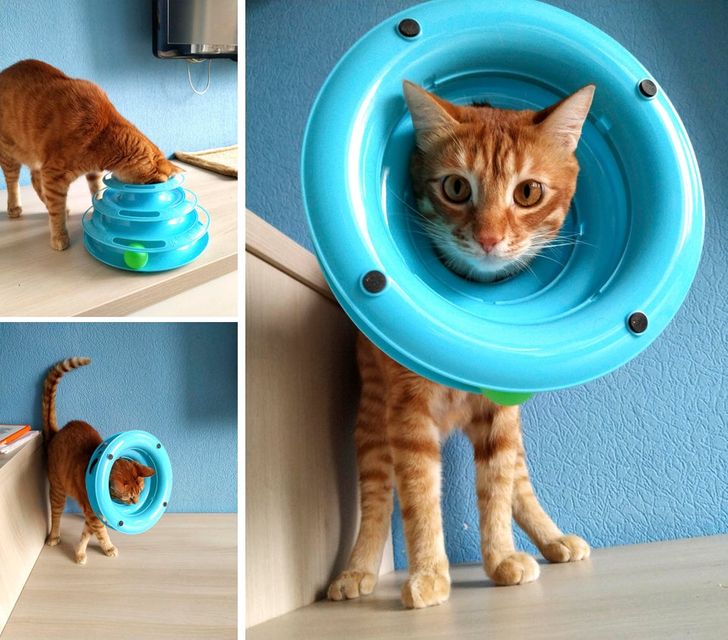 e5b7a252f6a10ecf34df572085