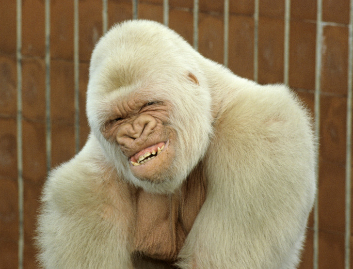 e5b84b51adbb7b63cfe4c2285f