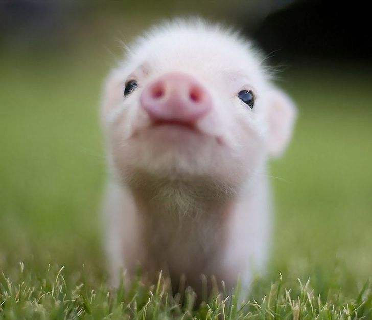 e5c14f57198dd6fb259e056f79