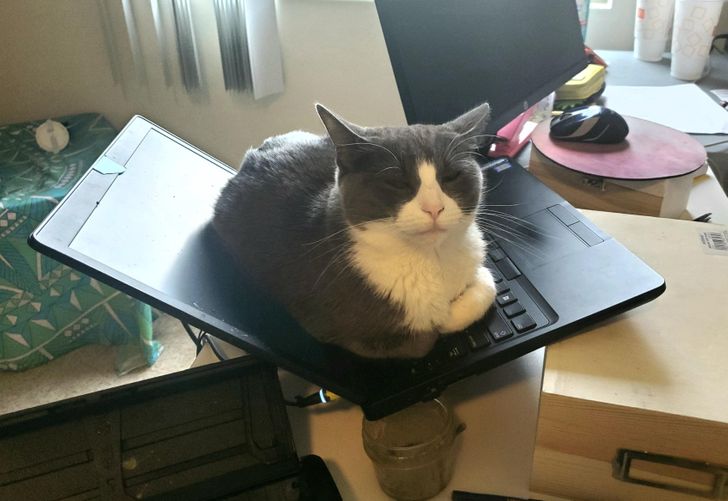 e5c41b541cb52250cf62104da8 e5c41b541cb52250cf62104da8