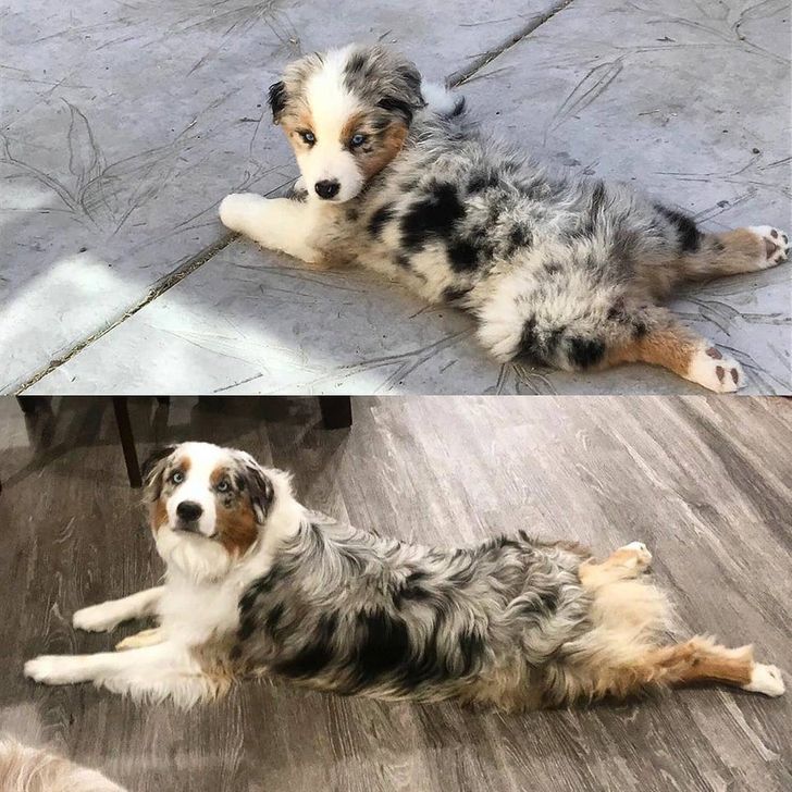 e5c5945016aafd00aeea6f161a