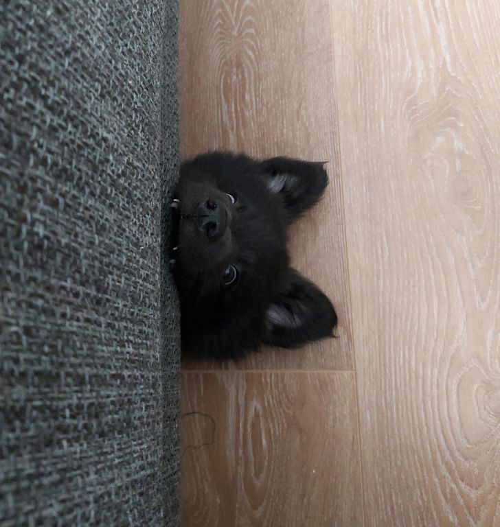 e5d4735c84ae031da46081f396 e5d4735c84ae031da46081f396