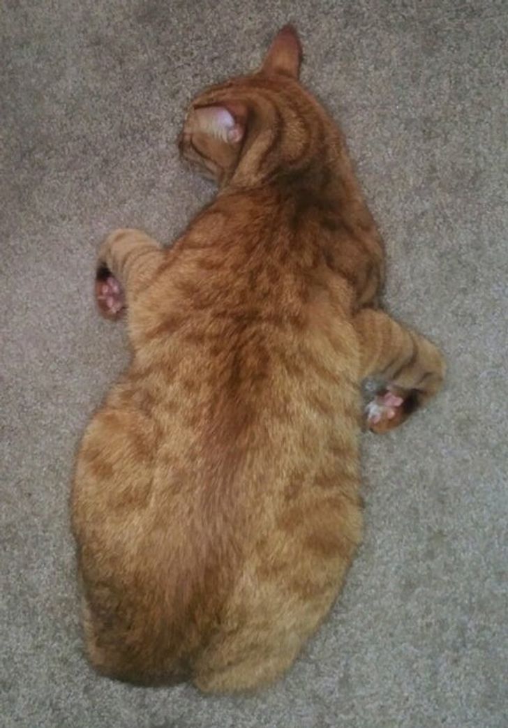 e5d7bc566ea1904e88caaa328f