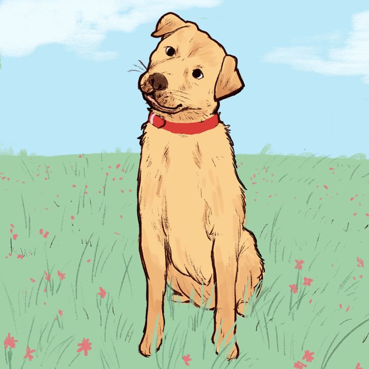 e5e091568d93a83e6d3df7f915