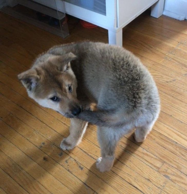 e5e9755c18a6feeeaede9f0e17