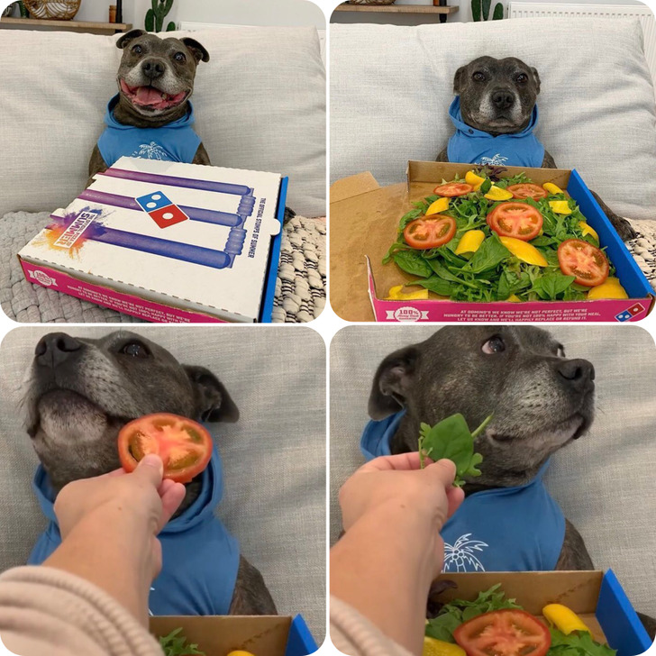 e5ea835644af931e7348eb7dbd