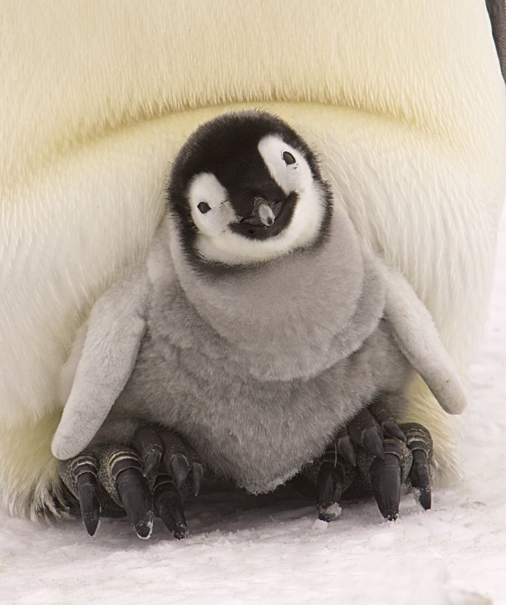 e602a75858aa9b546e696c42fb