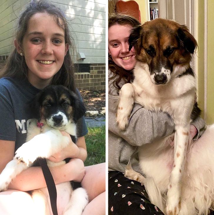 e602e45083ba6535b1b9d20e14