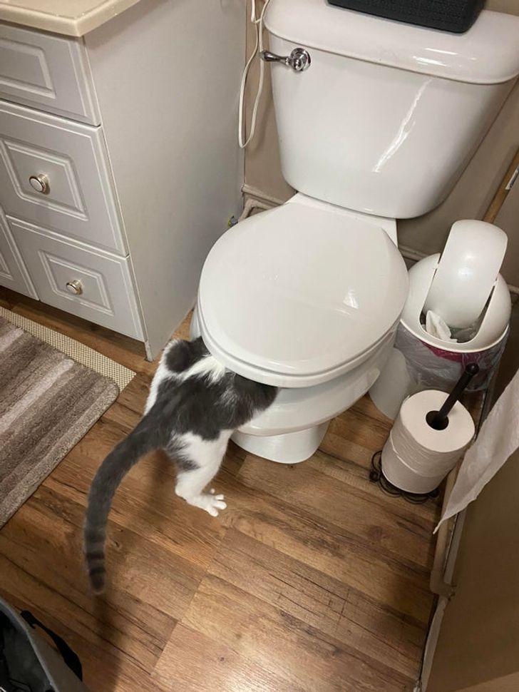 e6114e57acb601c9e8698ebb11