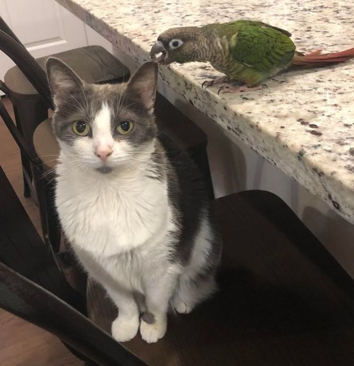 e619d35b7ba3622682eb2fff85