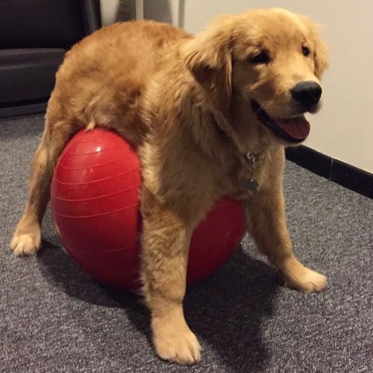 e61aad5714b99ad31e85c561a1