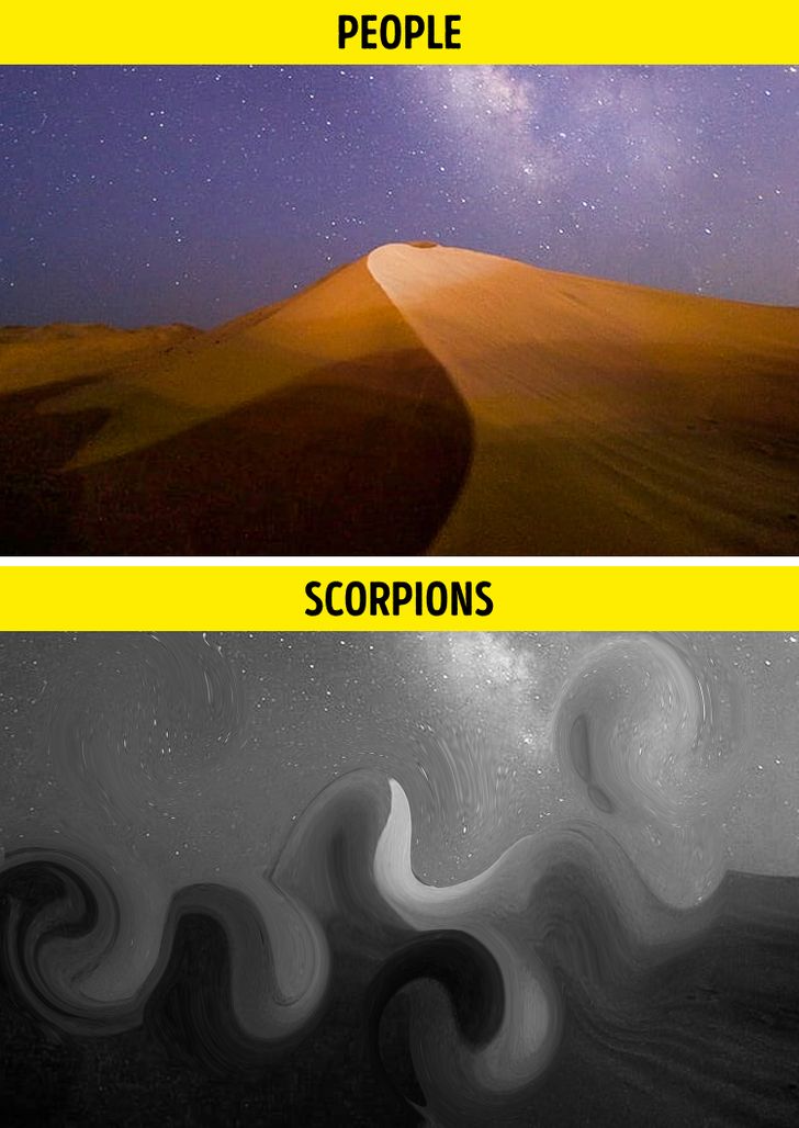 e6220459438453423fae8eaf95