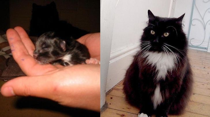 e6233b5be8bcd391f909bc6fee