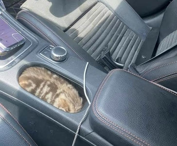 e632095892a839e8f76f729730