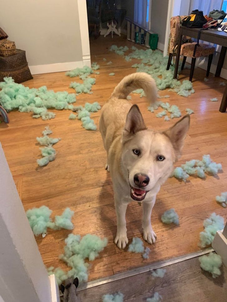 e6325457a498f50808dd5369c9