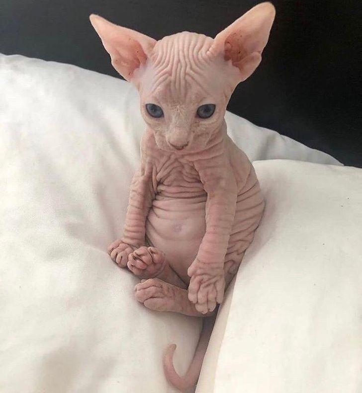 e6330557f0aec112cc437faca4