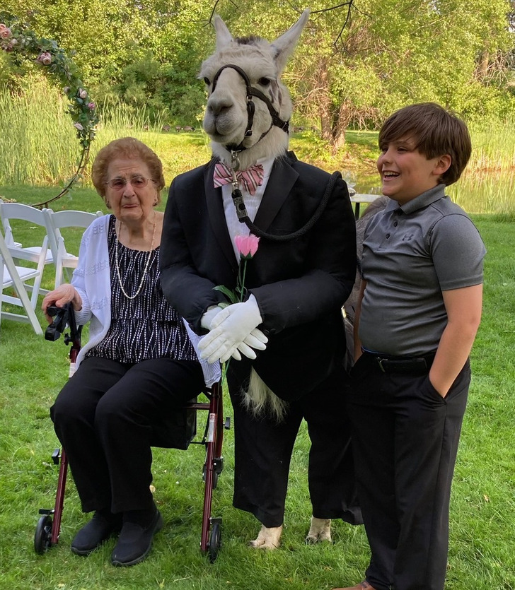 e63c8259a0a9de3bbca5ab28ef