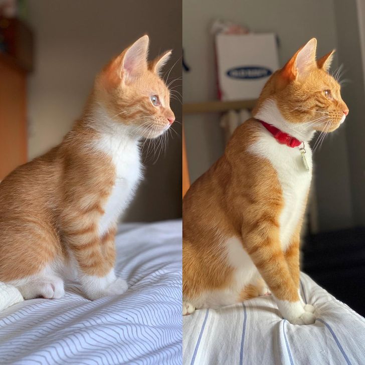 e6417757ec9bcfe3a0d24a3ac5