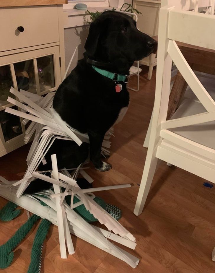 e644675a089e3d3adf9f2f3303