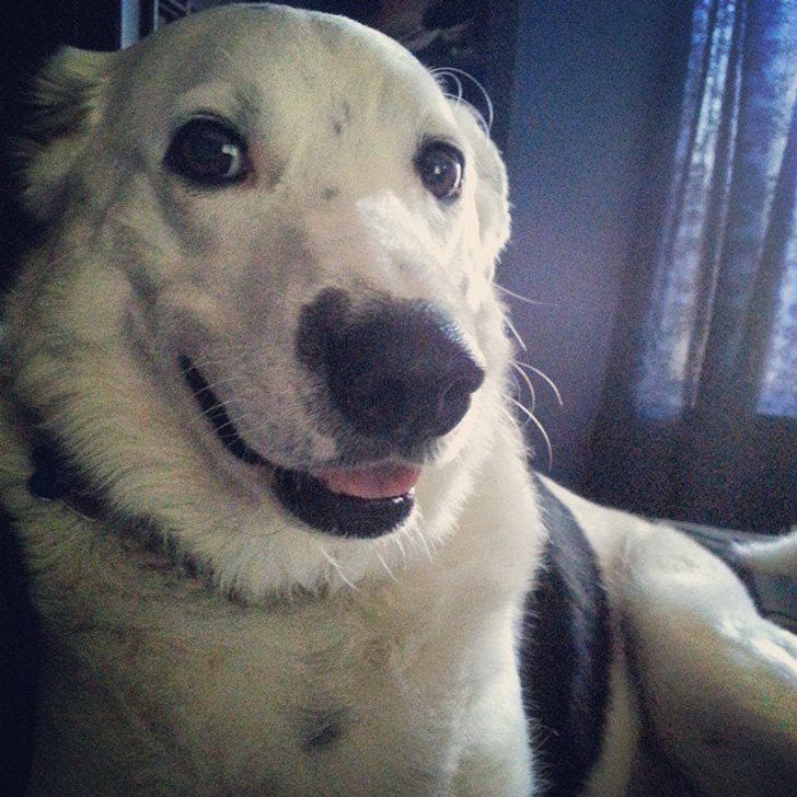 e658395493a81932ca293e356d