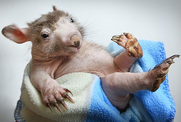 e664cd5a5ab9fc75a9f04b0f74