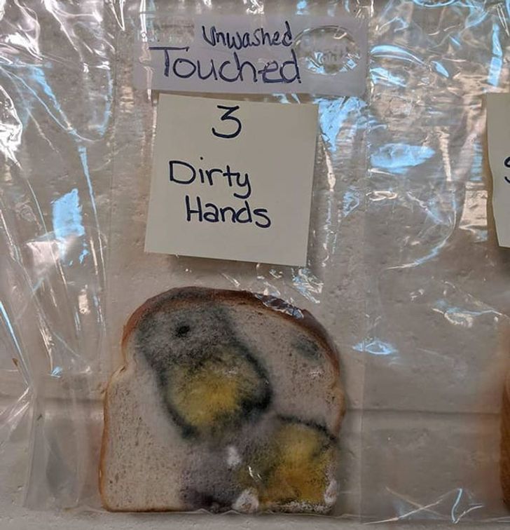 e6675e5c74b902dfe2d8020c42 e6675e5c74b902dfe2d8020c42