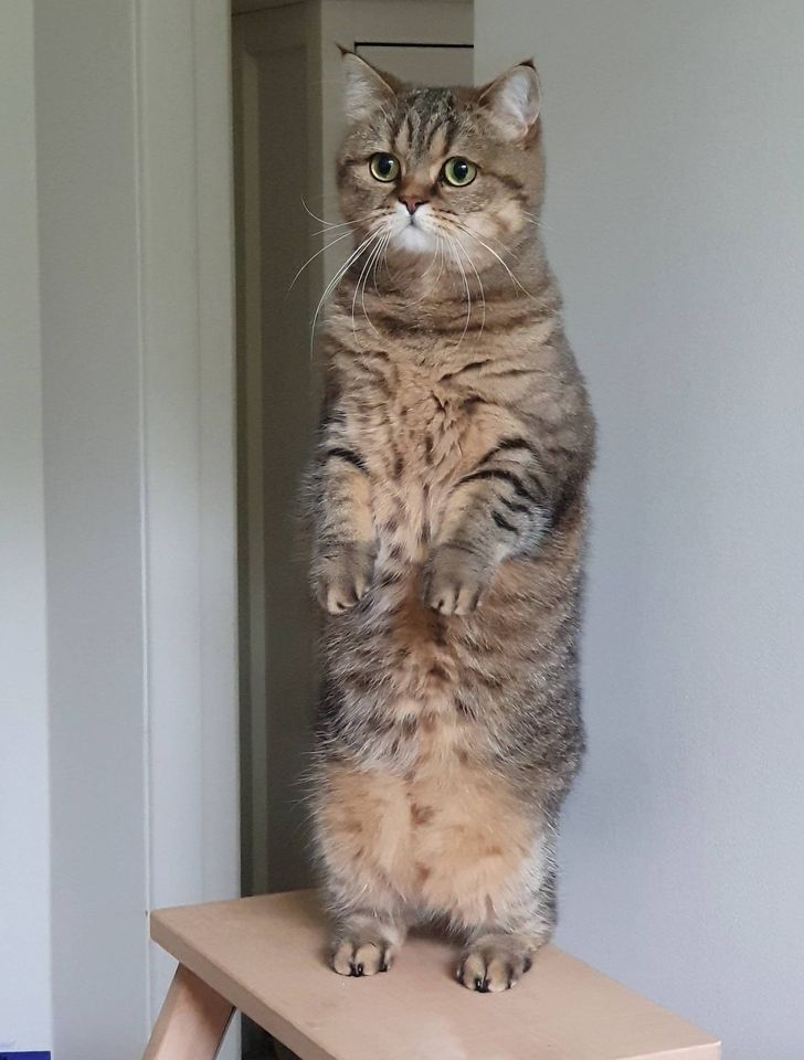 e669ca5892bc811d3eb5b2adff