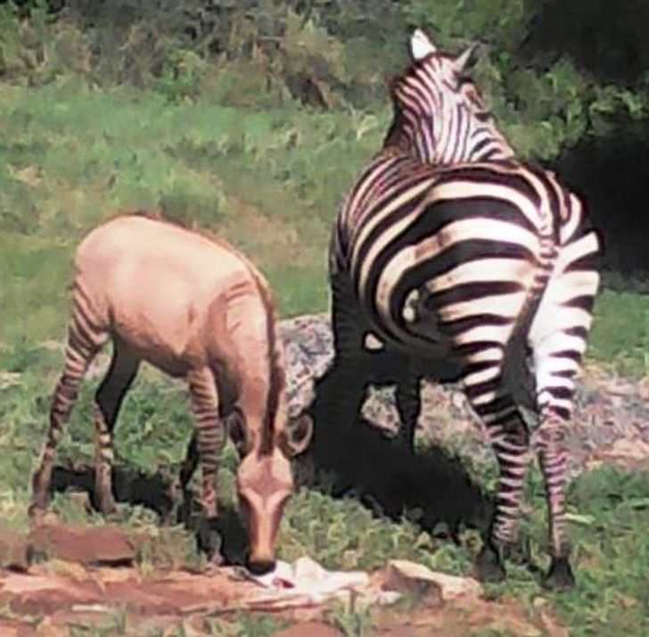 e66bc158b8b8b79925e3d5da64