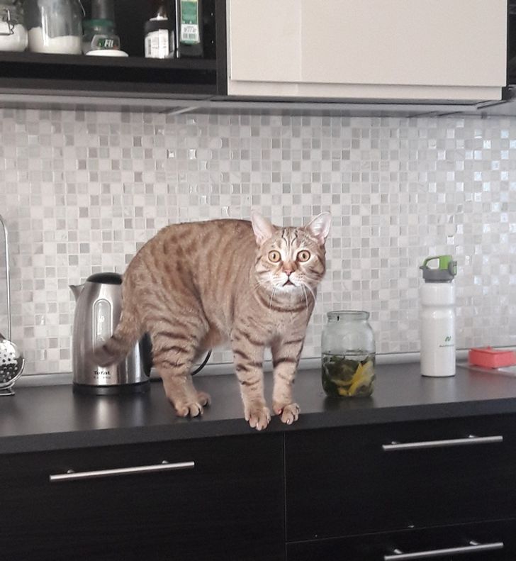 e66cdf57e4817a2523838404fd