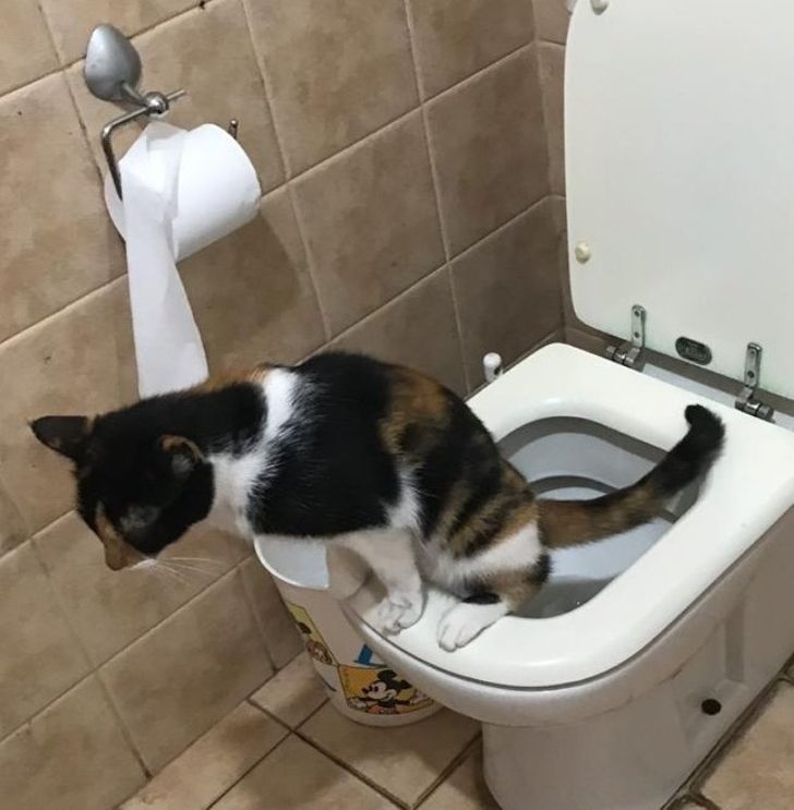 e66e8a5035a98560886235ec29