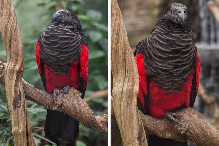 e670725155828869accc6e435e