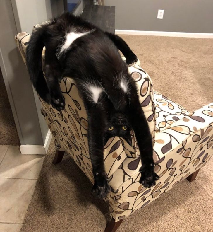 e68644547d9296809f4497829e