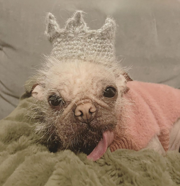 e687c055f195e6777cdc1285c4