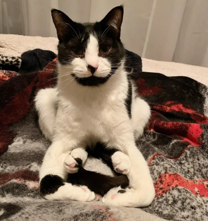 e689955236b3ae13e2242e8e29