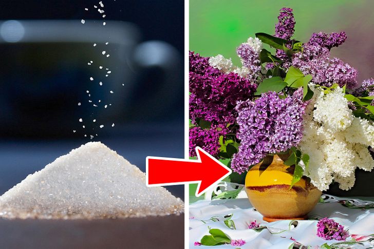 e692de50e794c08ea471966556