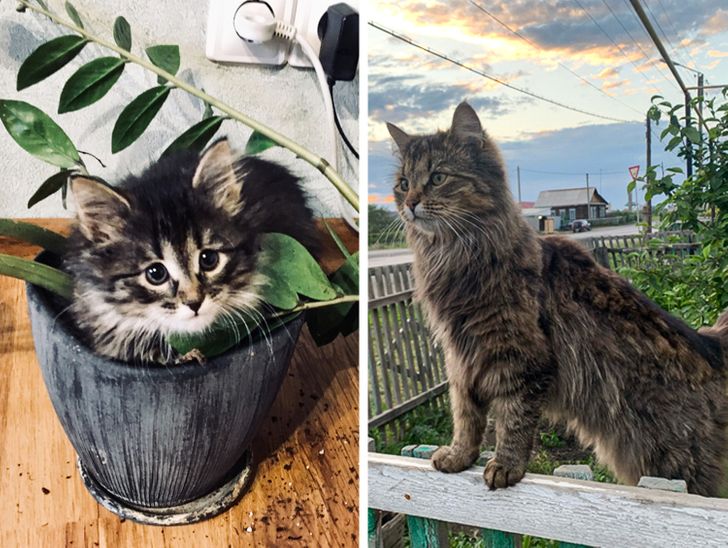 e693e55ab782e0a3d4712eee21