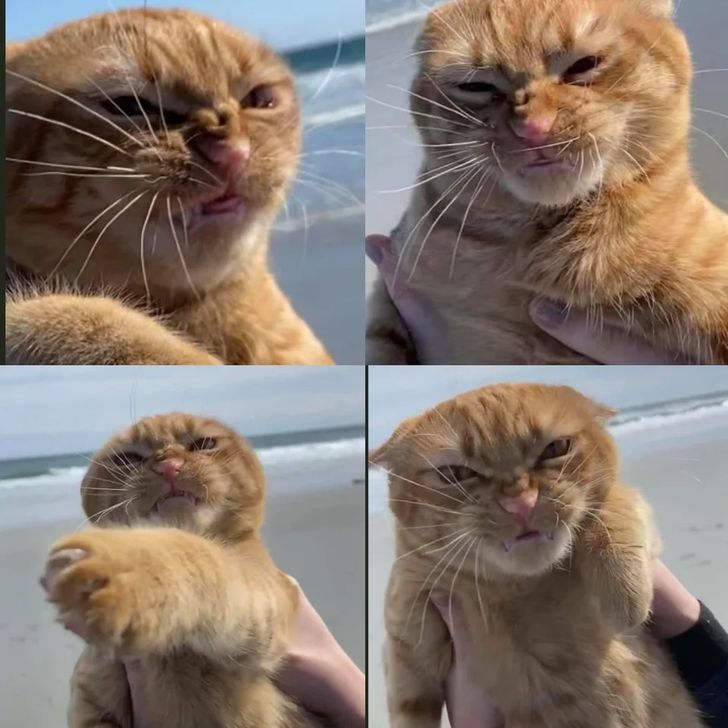 e69767549299ad052ae46b1d72