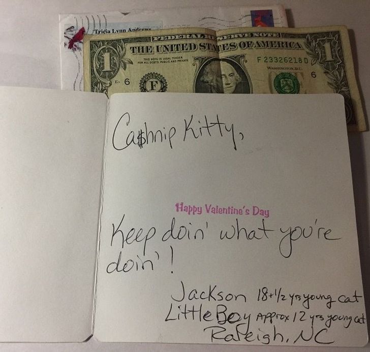 e6999b579ba6596261cbaf4c1b