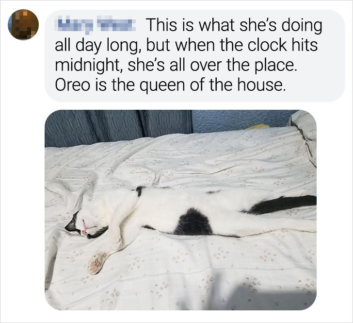 e69e505848b20eaba81fcd1832