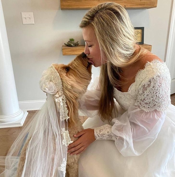 e6aec45ab7bba1235929c94b04