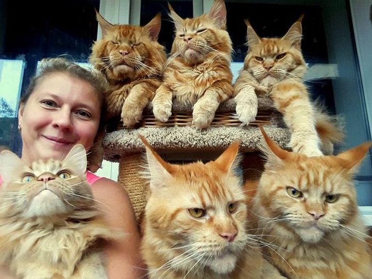 e6b6275042bd0c961610ab588f e6b6275042bd0c961610ab588f