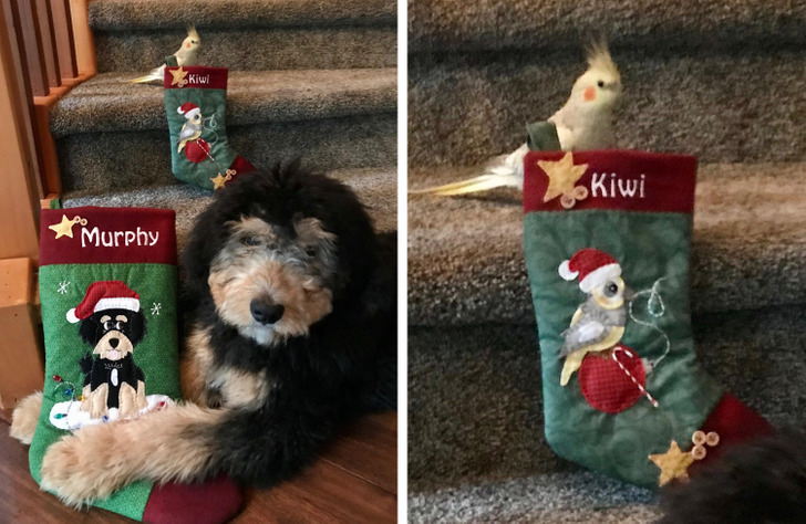 e6b7615fce9cf7f34f477a0487