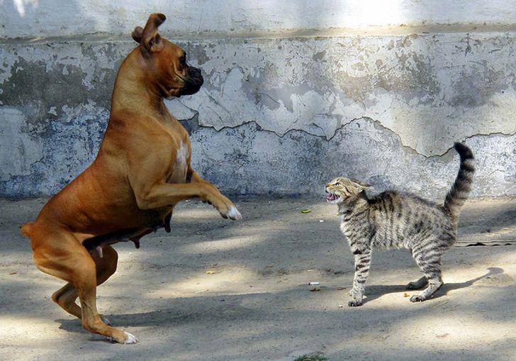 e6b78b5dde8f54b95023858205