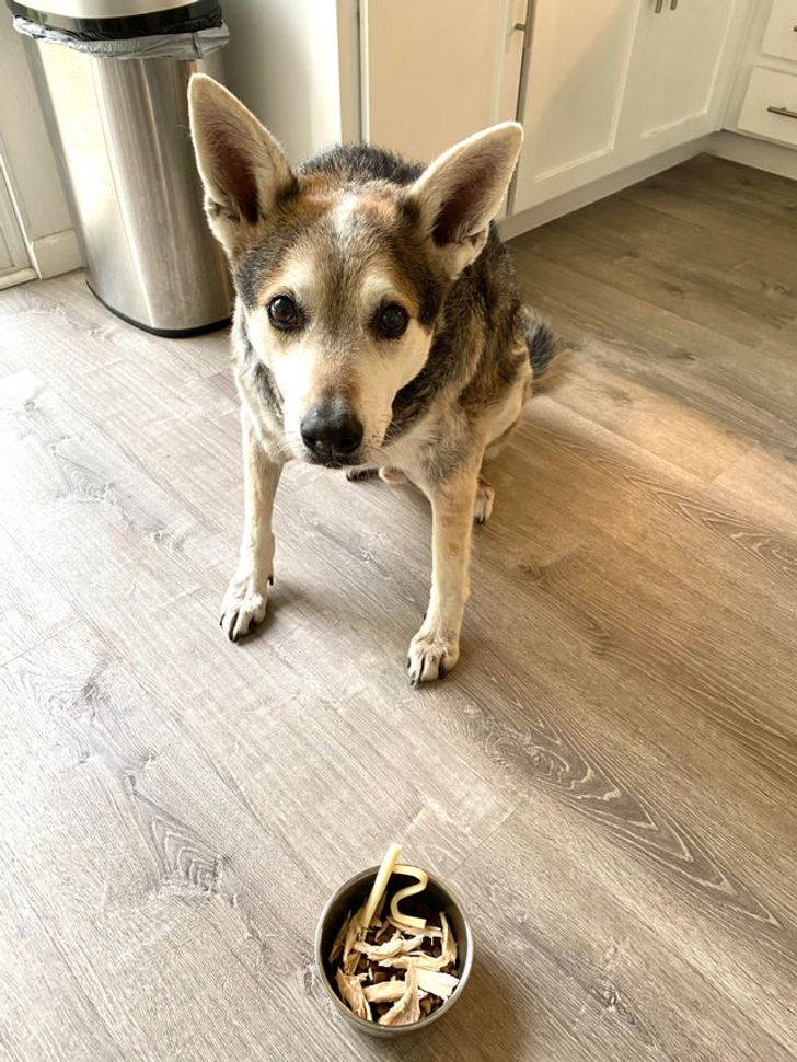 e6baa35645a4d13e44e92a3859