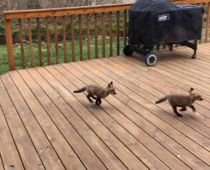 e6bc46514b9970cda65f80c471