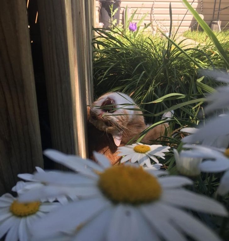 e6c2e059249f033c9882c1de31