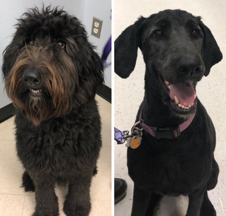 e6c2fe535096fa5bf65a306cef