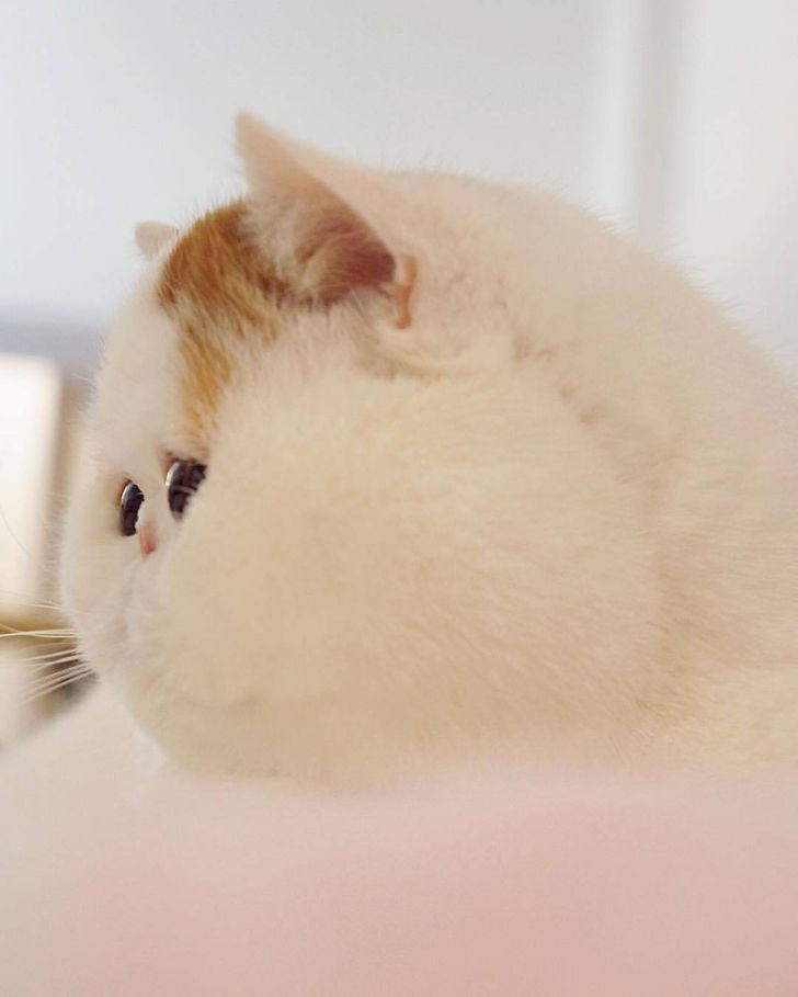 e6c49058afa01c1747834f838e