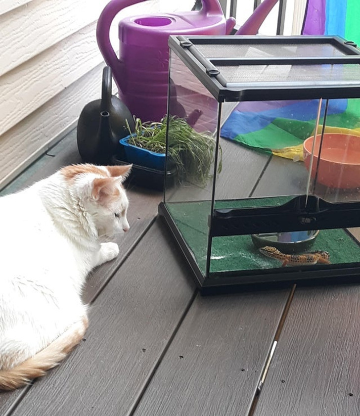 e6c54855c9bc7760242d15eb1f e6c54855c9bc7760242d15eb1f